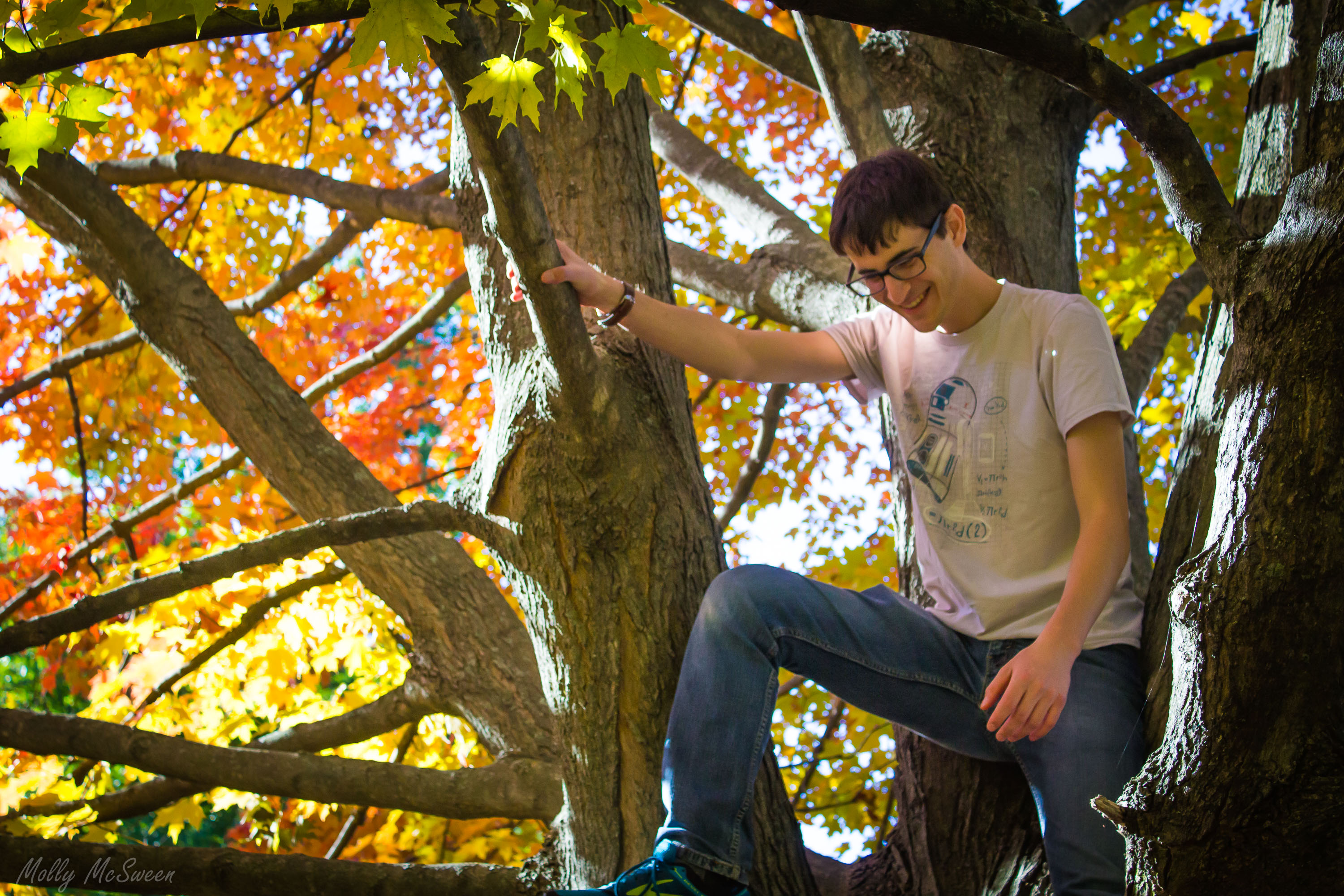 Picture of Julian in a tree